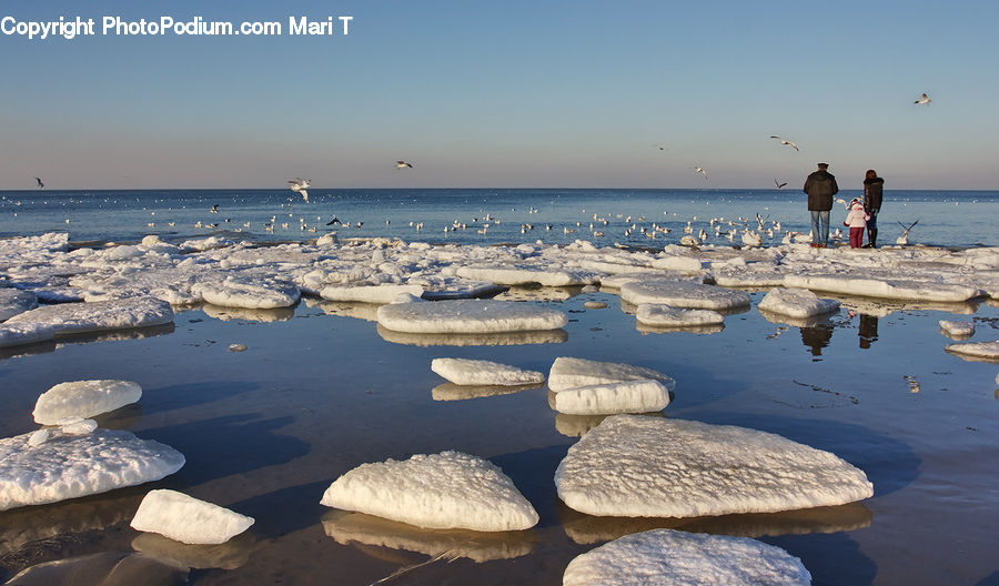 Arctic, Snow, Winter, Beach, Coast, Outdoors, Sea