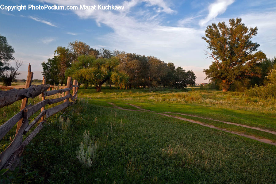 Fence, Field, Grass, Grassland, Land, Outdoors, Dirt Road