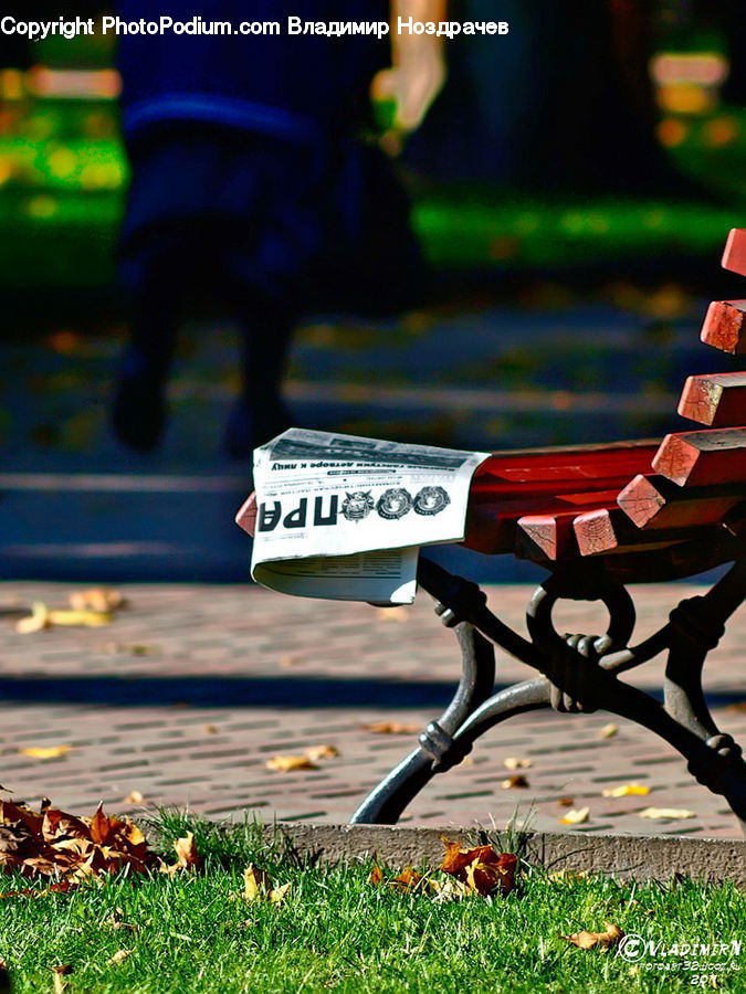 Bench, Field, Grass, Grassland, Plant, Herbal, Herbs