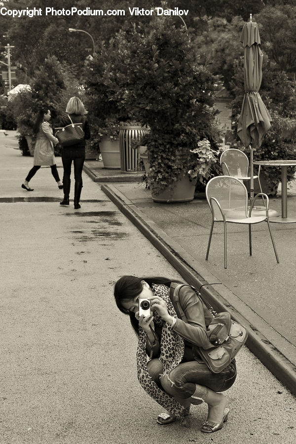Chair, Furniture, Plant, Potted Plant, Leisure Activities, Walking, Bench