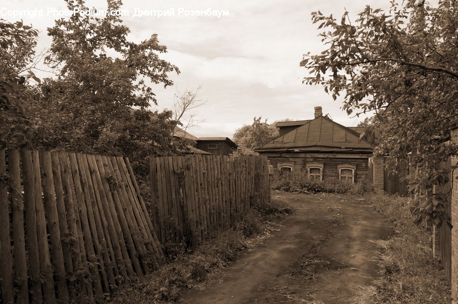 Dirt Road, Gravel, Road, Arch, Gate, Cabin, Hut