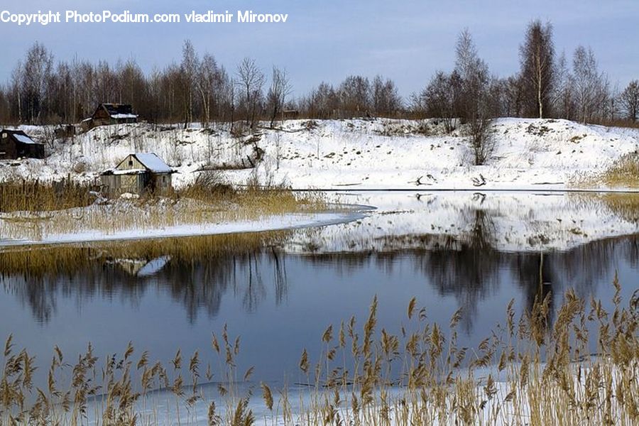 Cabin, Hut, Rural, Shack, Shelter, Building, Land