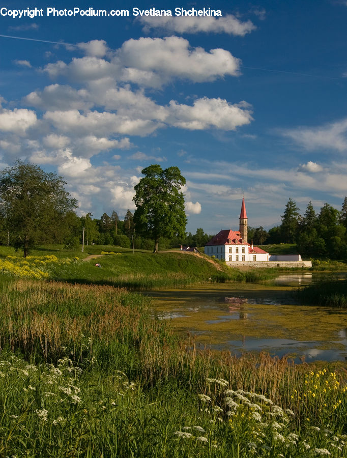 Architecture, Church, Worship, Field, Grass, Grassland, Land