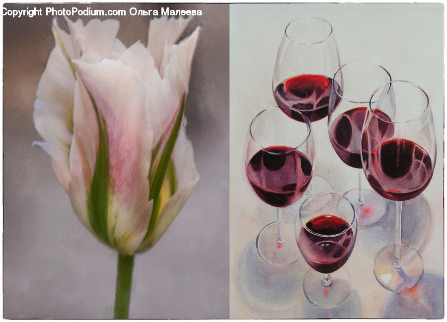 Glass, Goblet, Beverage, Drink, Alcohol, Wine, Flower Arrangement