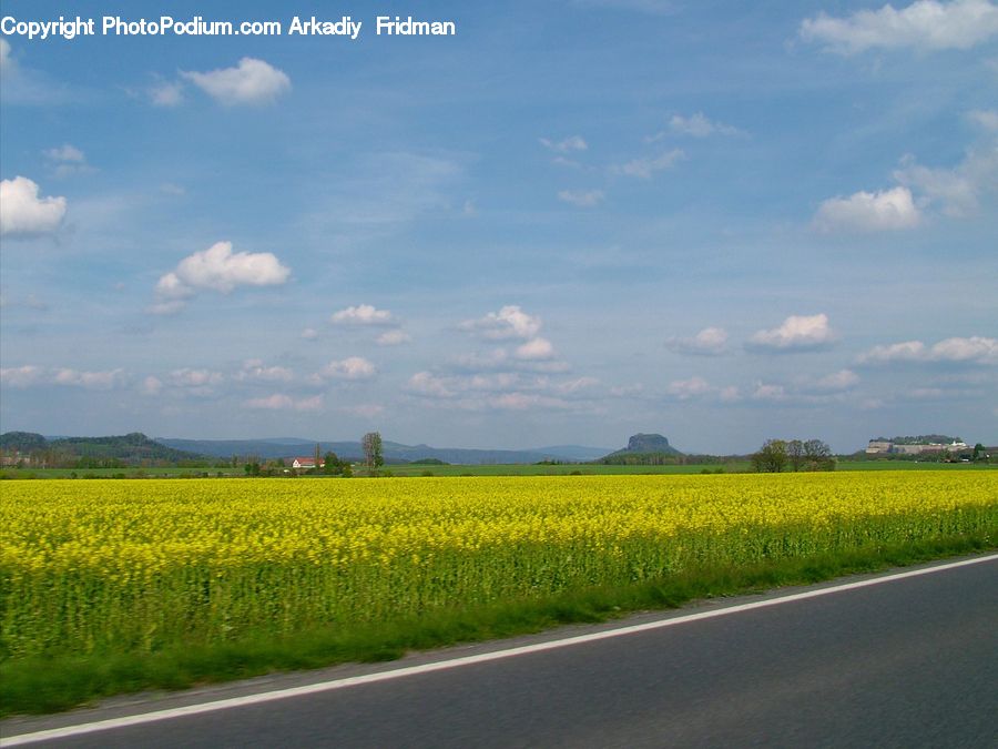 Field, Grass, Grassland, Land, Outdoors, Road, Cloud