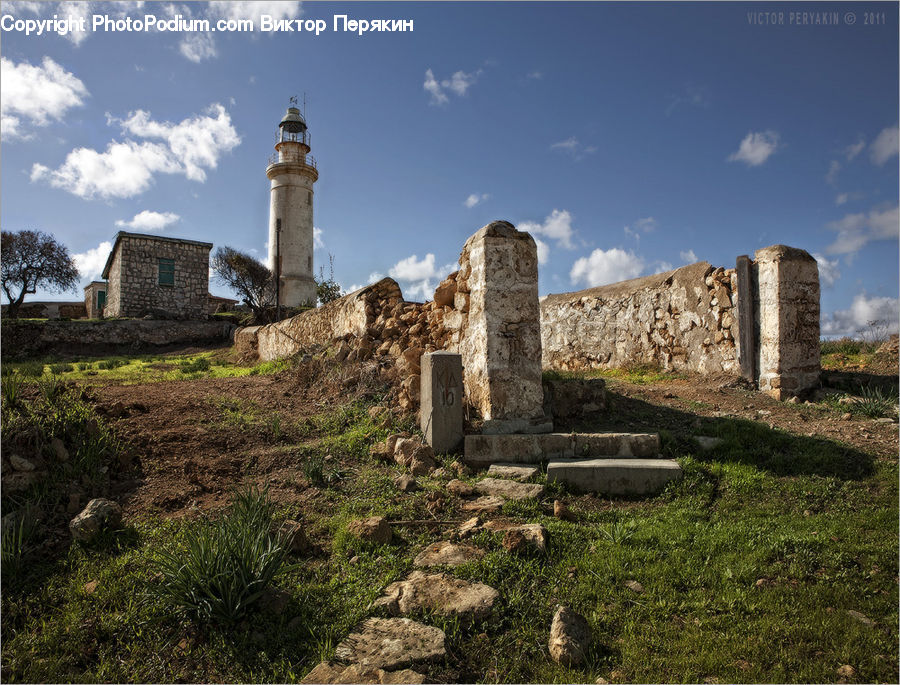 Ruins, Castle, Fort, Bush, Plant, Vegetation, Architecture