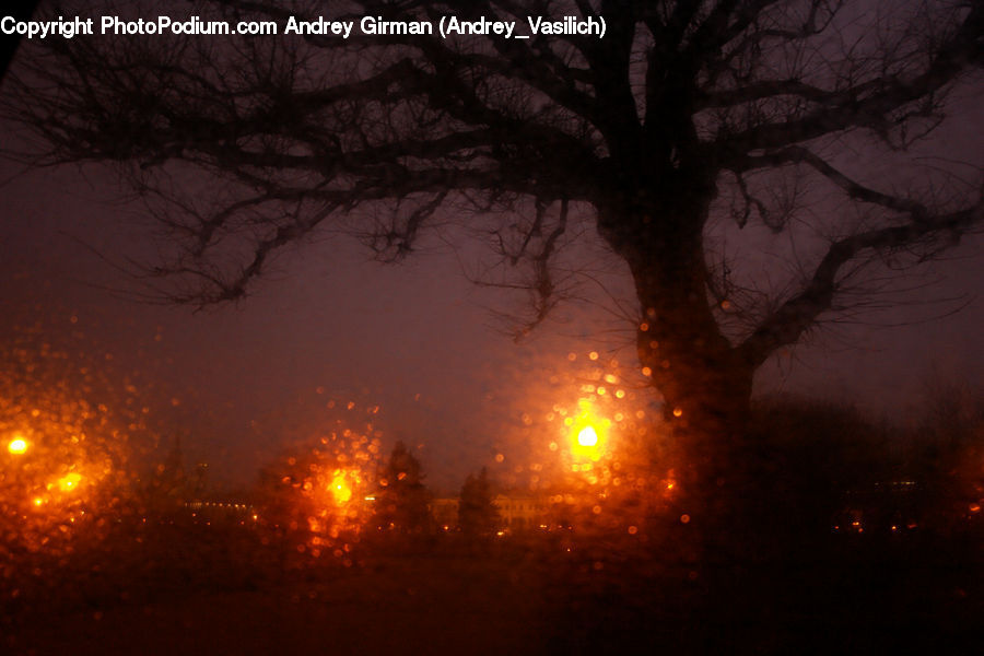 People, Person, Human, Dawn, Dusk, Sky, Sunrise