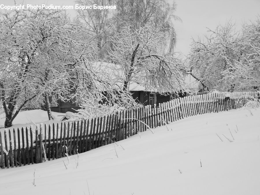Ice, Outdoors, Snow, Fence, Countryside, Plant, Tree
