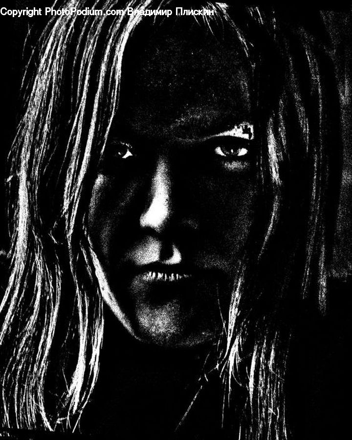 Person, Portrait, Female, Face, Head, Woman