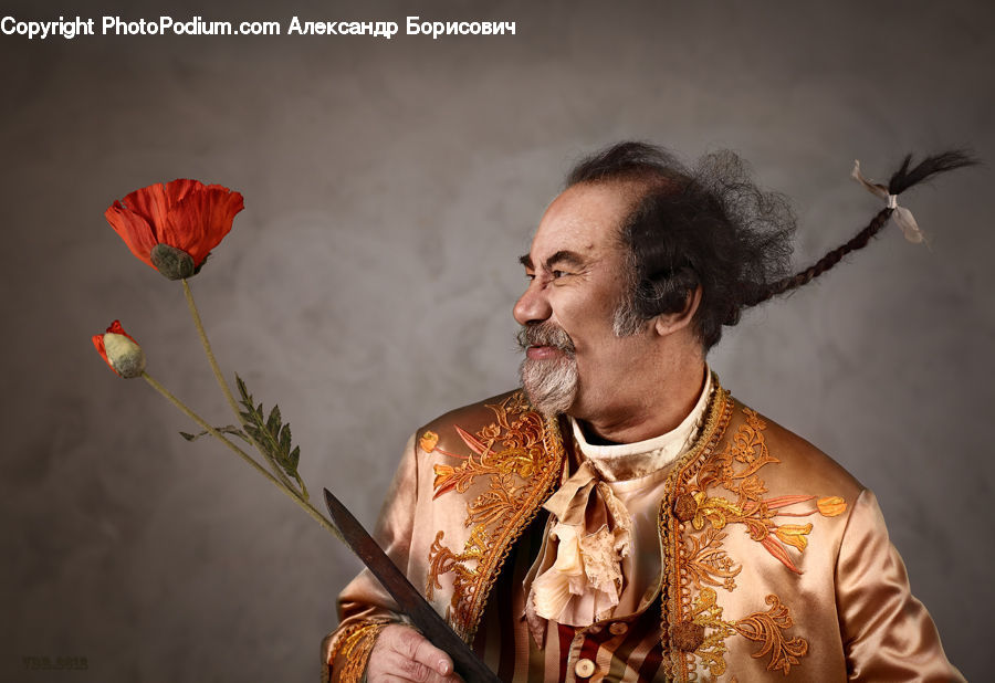 Blossom, Flora, Flower, Plant, Poppy, People, Person