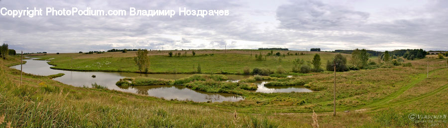 Field, Grass, Grassland, Land, Outdoors, Countryside, Dirt Road