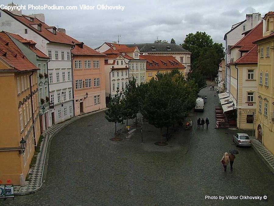 Plant, Potted Plant, Architecture, Downtown, Plaza, Town, Town Square