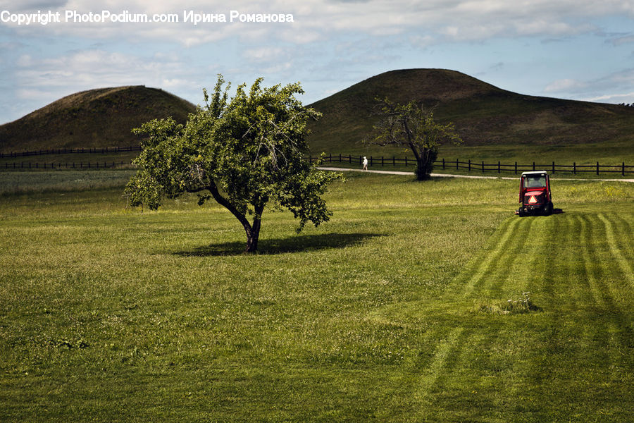 Field, Grass, Grassland, Land, Outdoors, Mound, Dirt Road