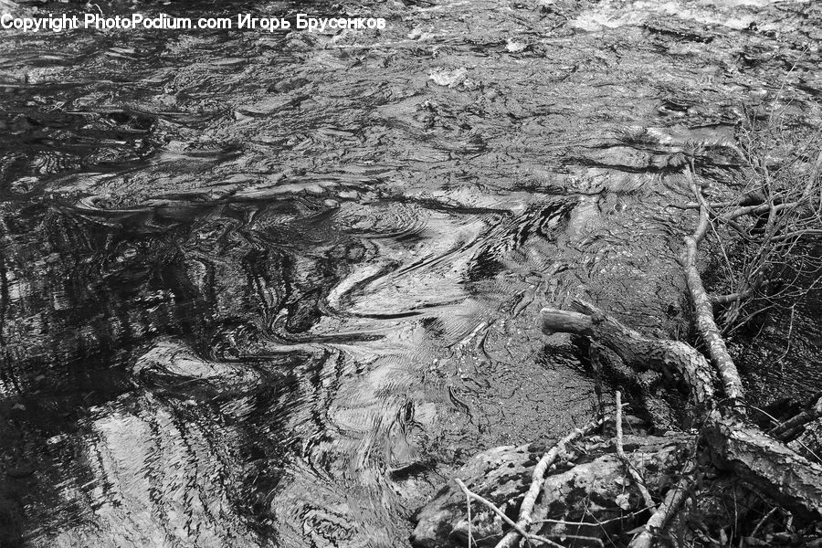 Soil, Ground, Plant, Tree, Outdoors, Water
