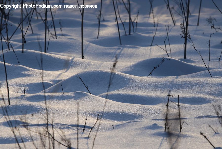 Ice, Outdoors, Snow, Arctic, Winter, Field, Grass