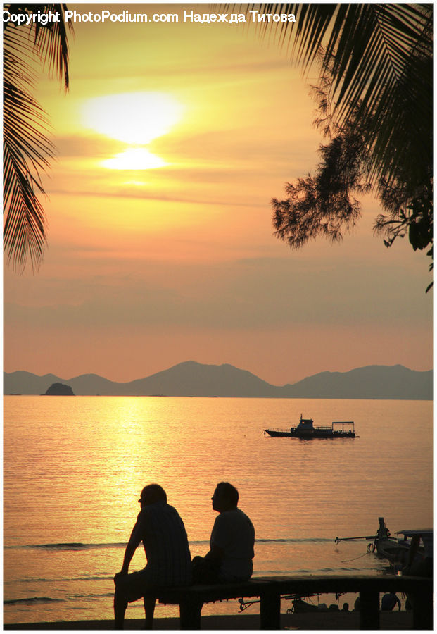 People, Person, Human, Silhouette, Palm Tree, Plant, Tree