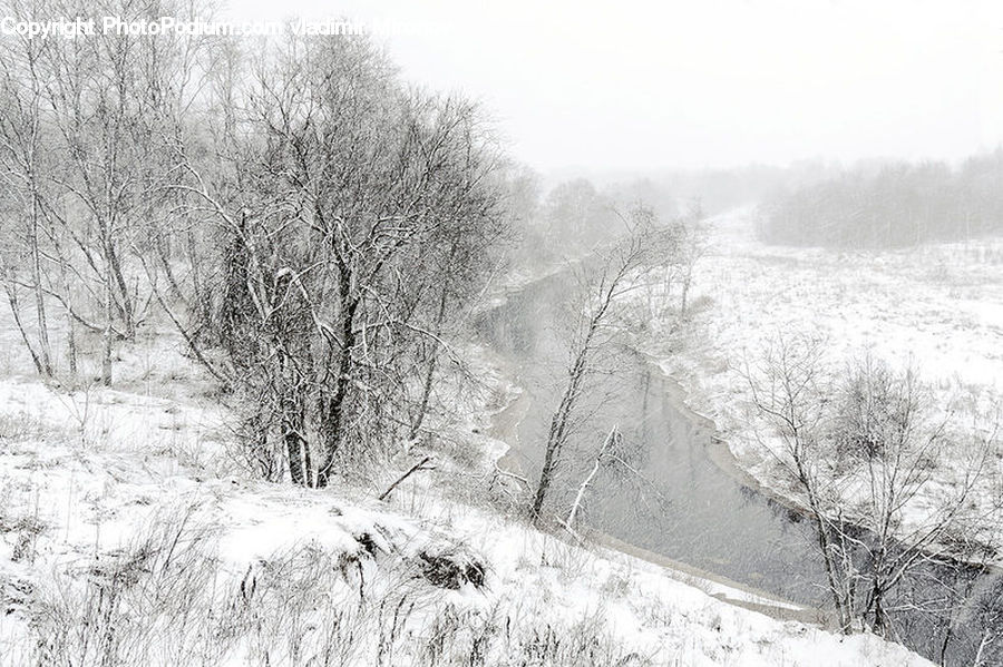 Ice, Outdoors, Snow, Countryside, Plant, Tree