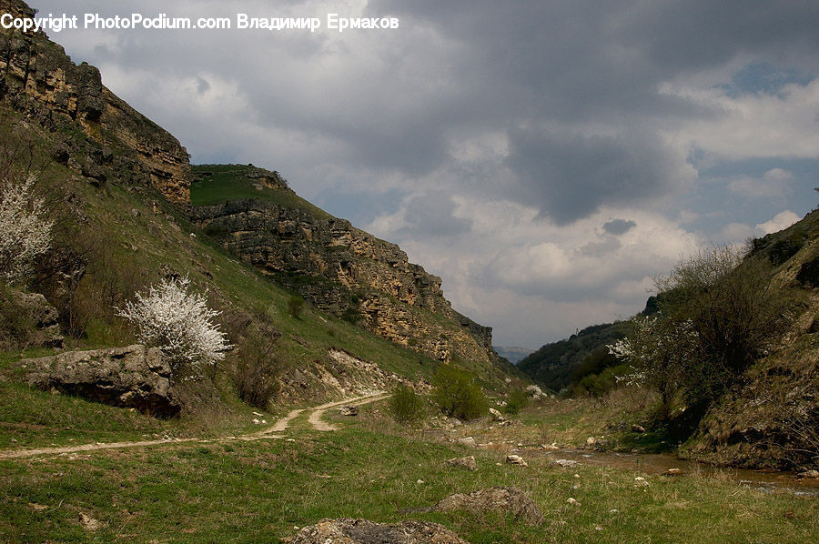 Crest, Mountain, Outdoors, Peak, Forest, Grove, Land