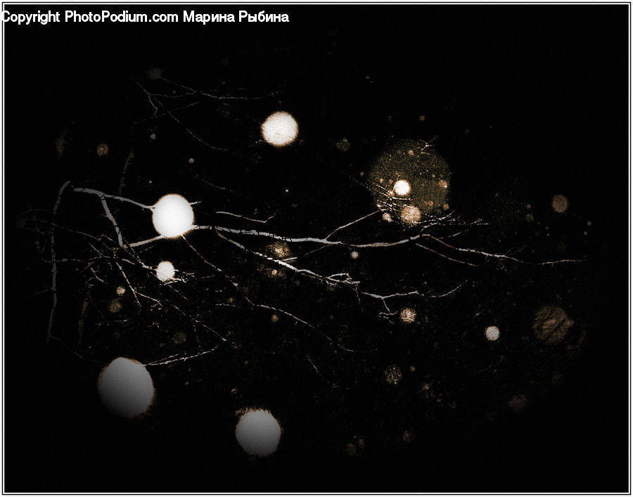 Light