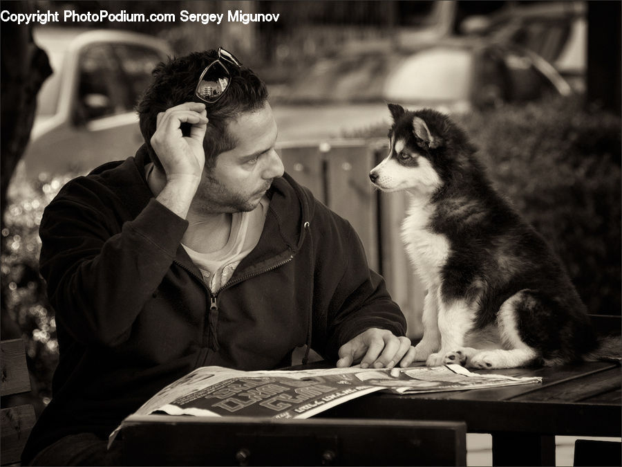 People, Person, Human, Animal, Face, Selfie, Leisure Activities