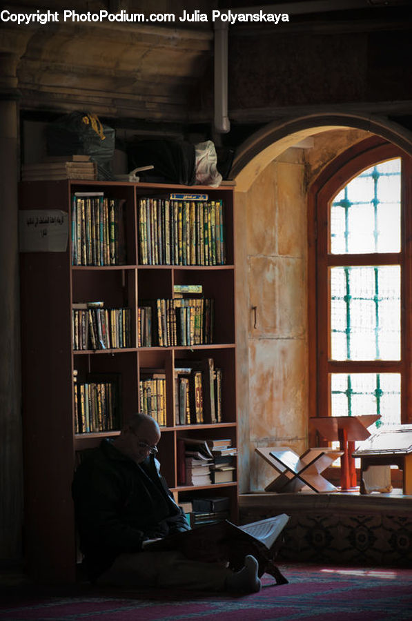 People, Person, Human, Window, Arch, Reading, Book