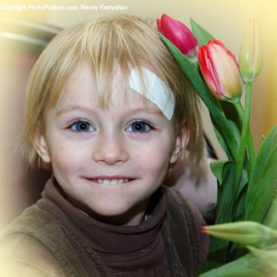 Human, People, Person, Blossom, Flora, Flower, Plant