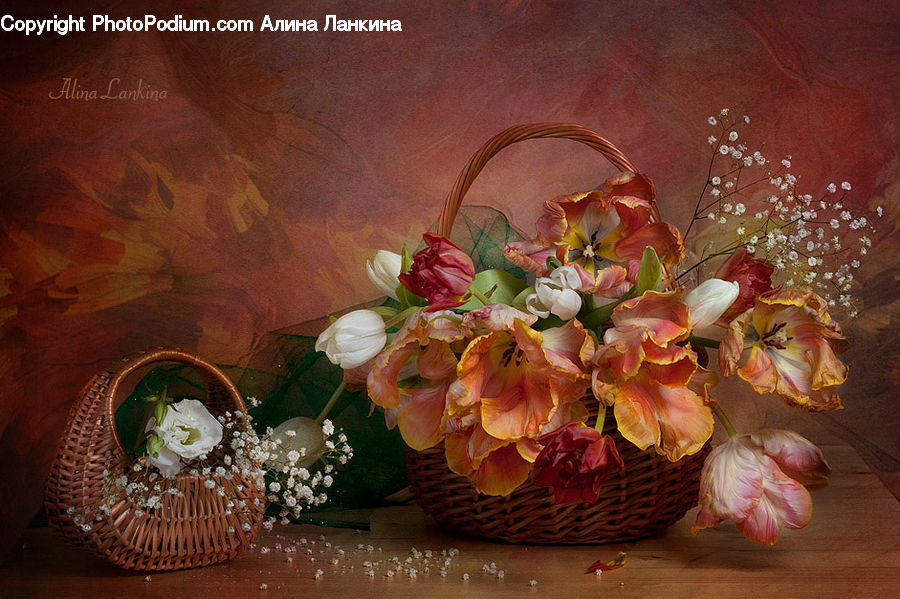 Floral Design, Flower, Flower Arrangement, Flower Bouquet, Ikebana, Plant, Potted Plant