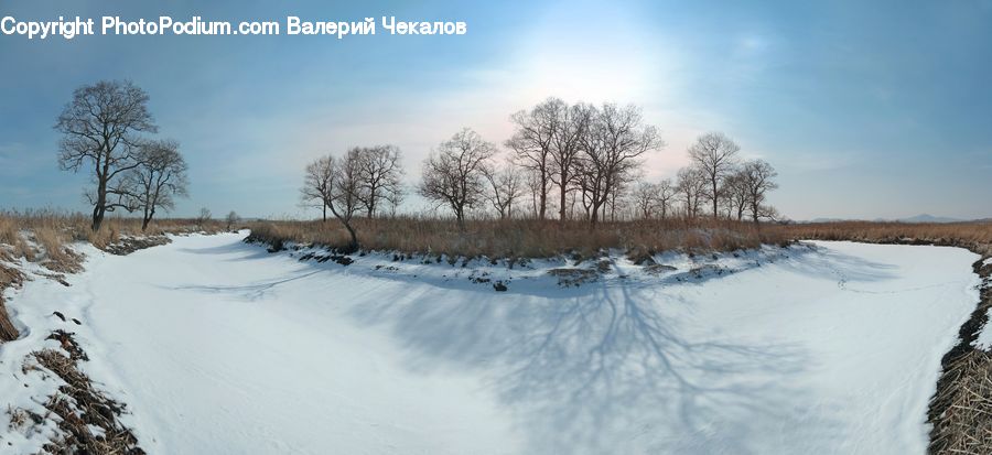 Ice, Outdoors, Snow, Landscape, Nature, Scenery, Forest