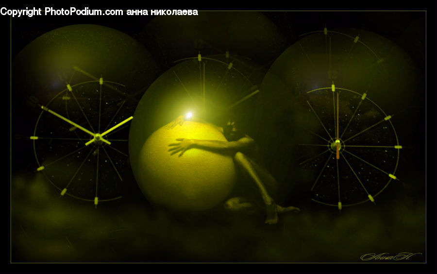 Compass, Sphere, Plant, Lighting, Leaf