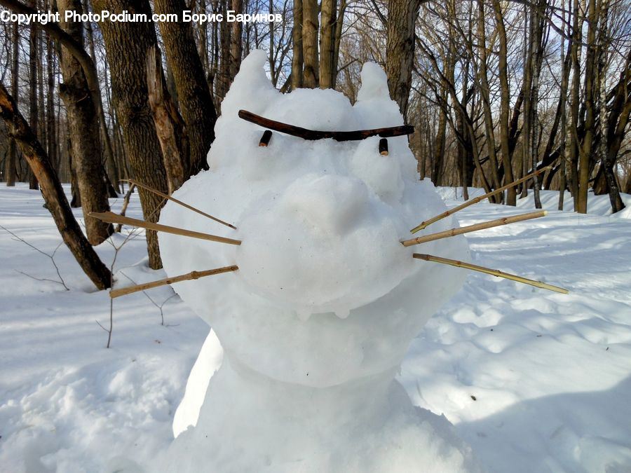 Ice, Snow, Snowman, Winter, Birch, Tree, Wood