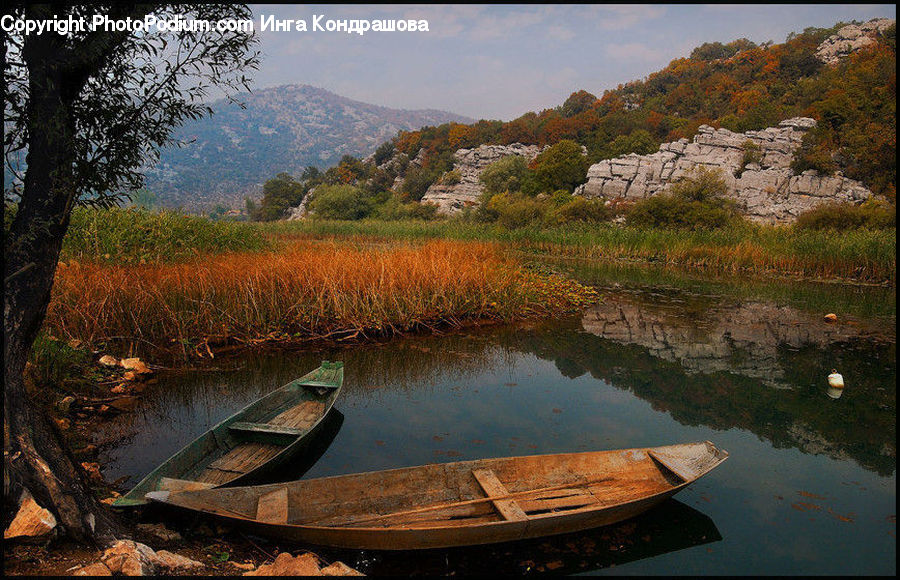 Boat, Dinghy, Rowboat, Vessel, Canoe, Outdoors, Moss