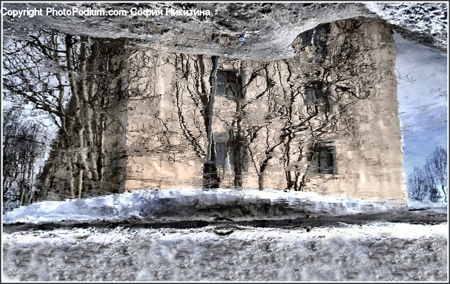 Ruins, Water, Oak, Tree, Wood, Bunker, Forest