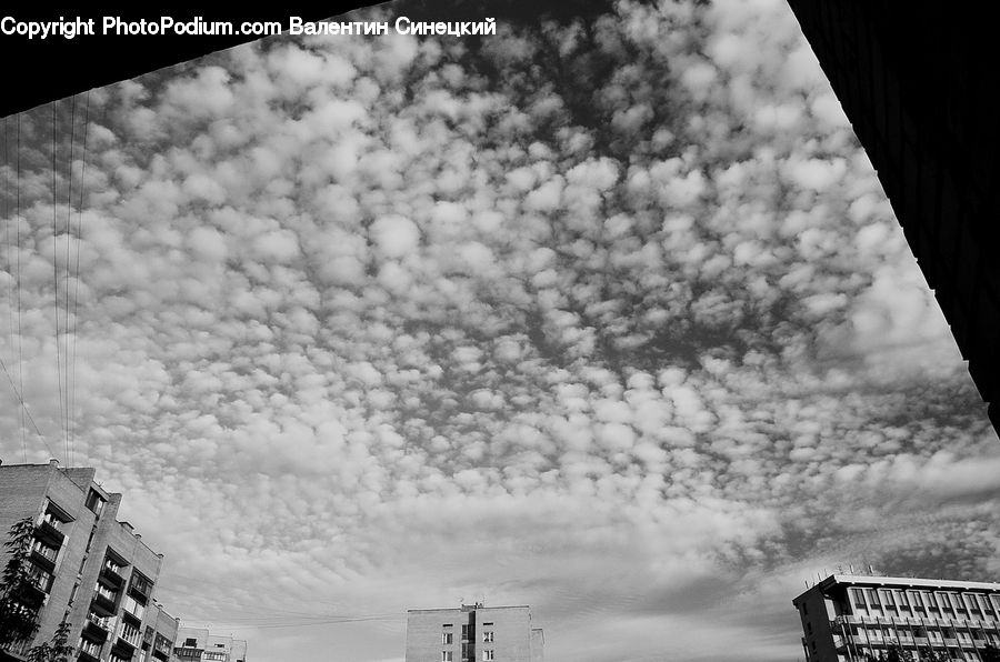 Downtown, Neighborhood, Town, City, Urban, Apartment Building, Building