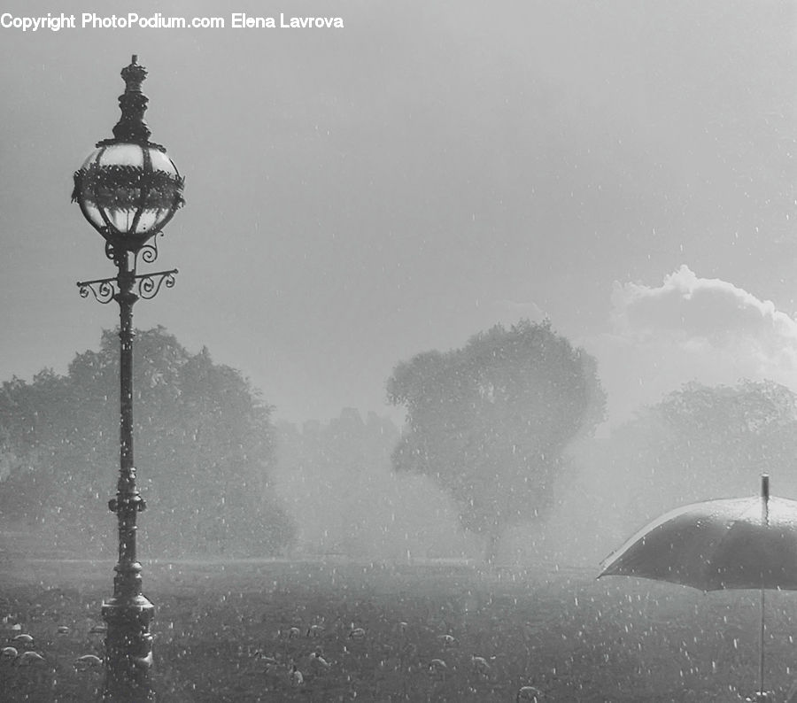 Umbrella, Fog, Pollution, Smog, Smoke