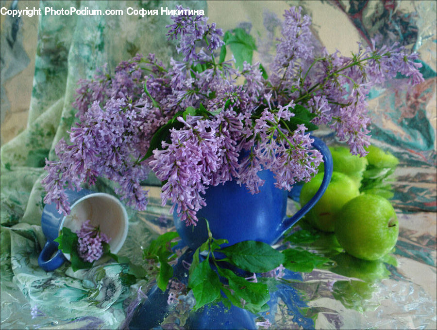 Blossom, Flower, Lilac, Plant, Flora, Floral Design, Flower Arrangement