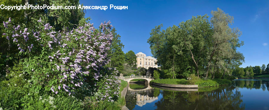 Canal, Outdoors, River, Water, Garden, Hotel, Resort