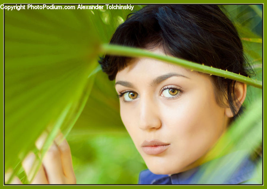 Human, People, Person, Female, Girl, Woman, Face