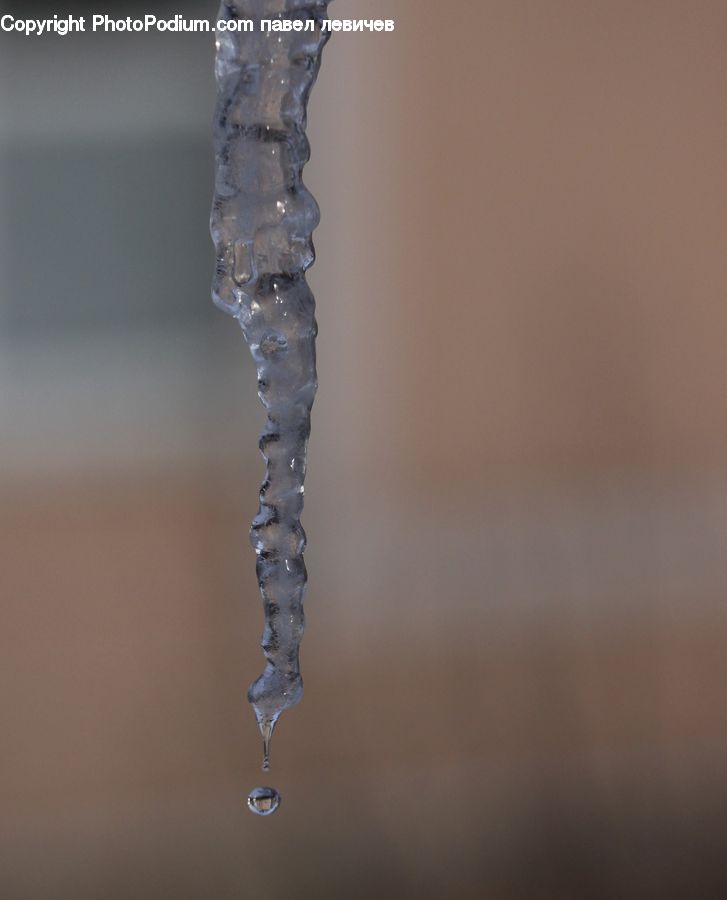 Ice, Icicle, Snow, Winter