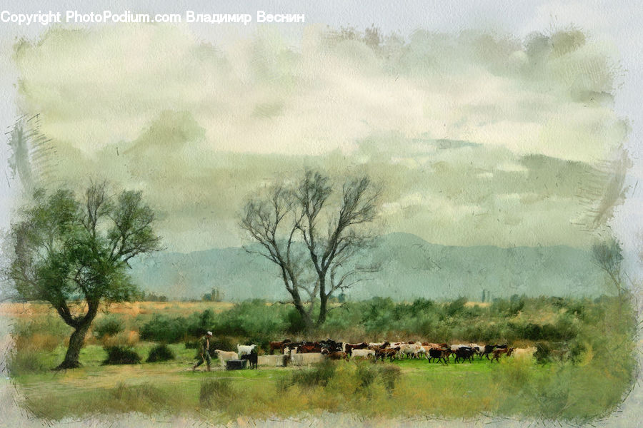 Art, Painting, Field, Grass, Grassland, Land, Outdoors