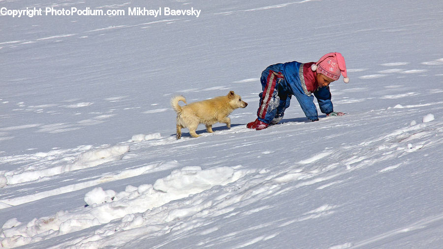Piste, Slide, Snow, Snowboarding, Sport, Animal, Bear