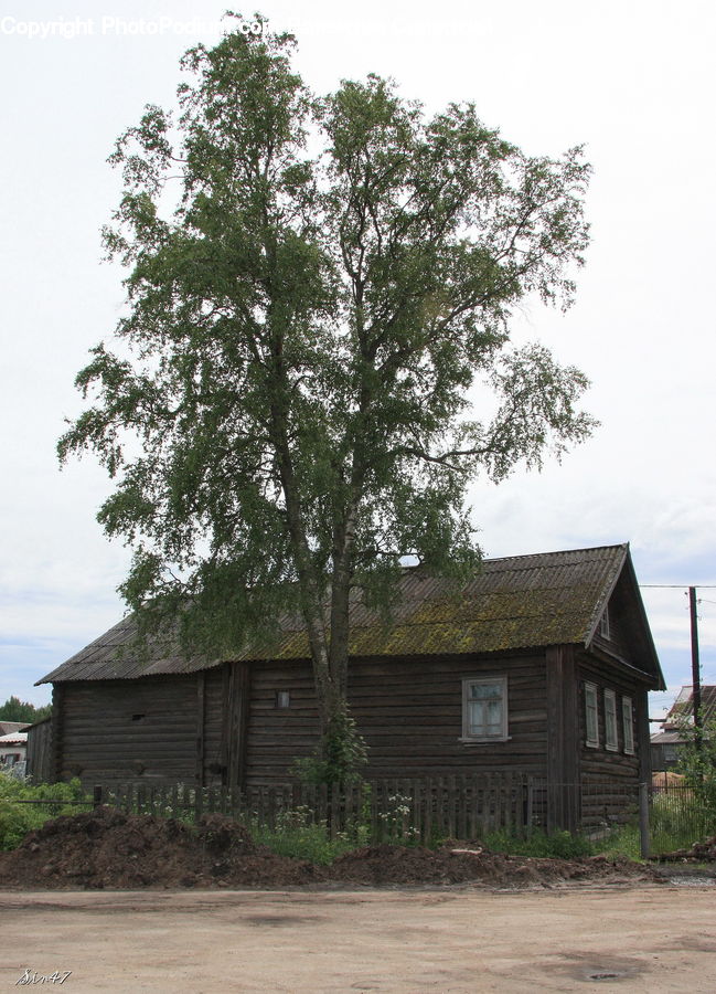 Building, Cottage, Housing, Cabin, Hut, Rural, Shack