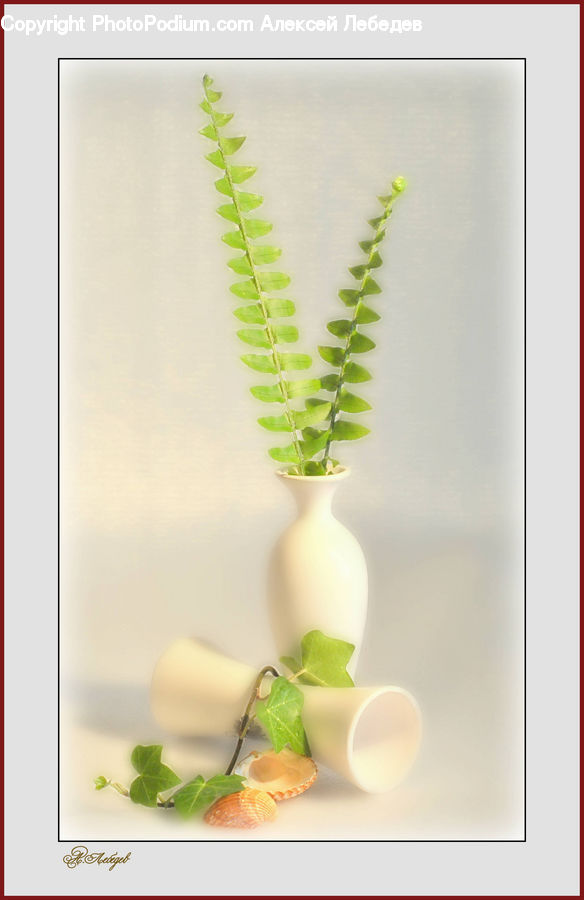 Jar, Porcelain, Vase, Herbs, Mint, Plant, Flower Arrangement