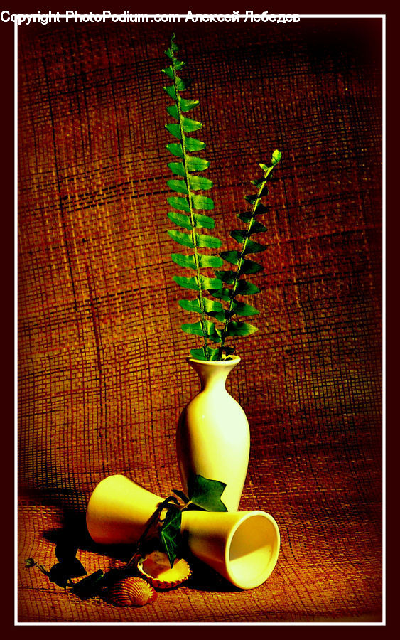 Jar, Porcelain, Vase, Glass, Goblet, Bowl, Plant