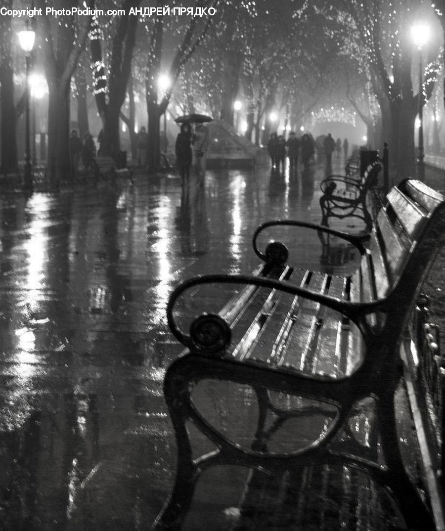 Bench, Chair, Furniture, Water, Bicycle, Bike, Vehicle
