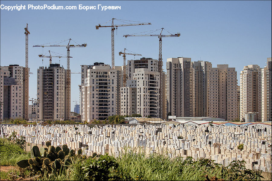 Construction, Building, Housing, Cactus, Plant, Apartment Building, High Rise