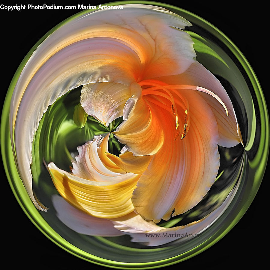 Sphere, Porcelain, Saucer, Blossom, Flora, Flower, Plant