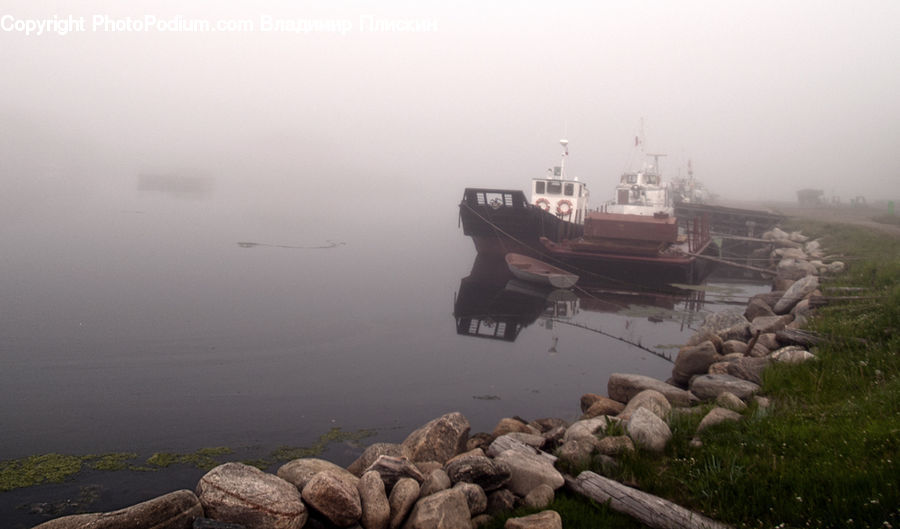 Animal, Mammal, Sheep, Barge, Boat, Tugboat, Vessel