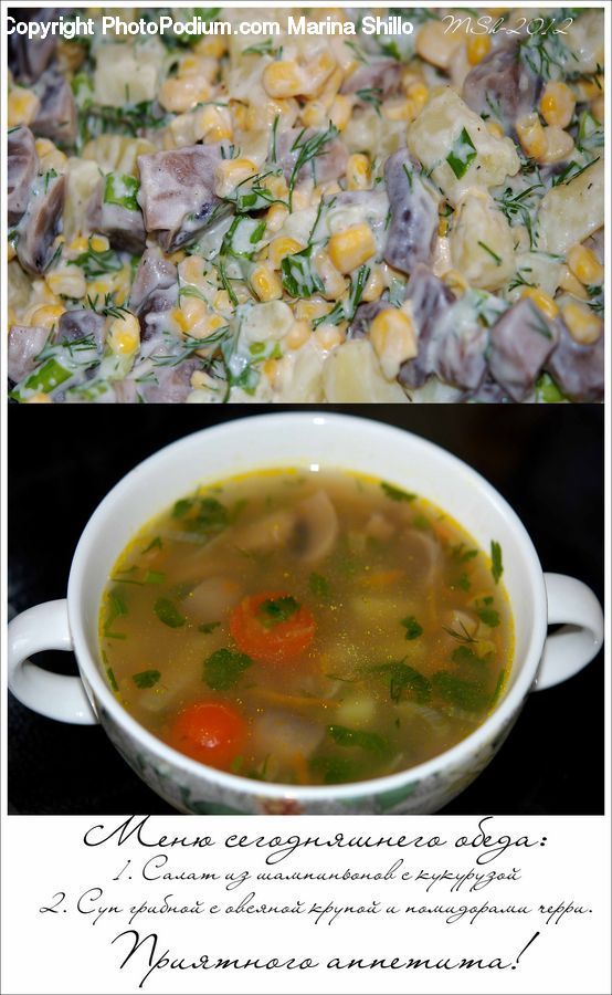 Plant, Potted Plant, Curry, Food, Bowl, Meal, Soup