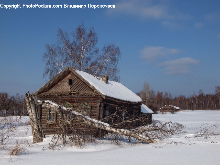 Cabin, Hut, Rural, Shack, Shelter, Building, Log Cabin