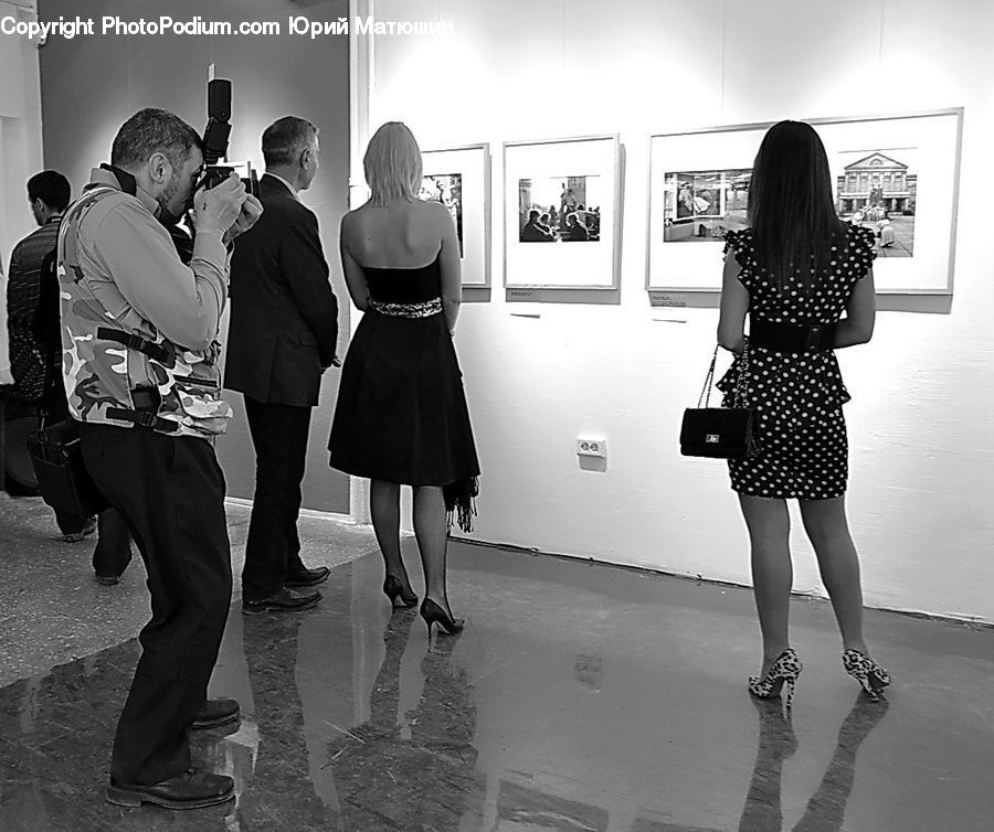 Human, People, Person, Back, Classroom, Photographer, Clothing